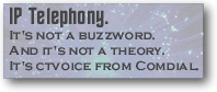 IP telephony - It's Not Just a Buzzword!